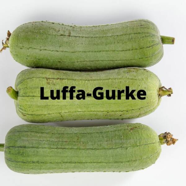 Luffa Gurke